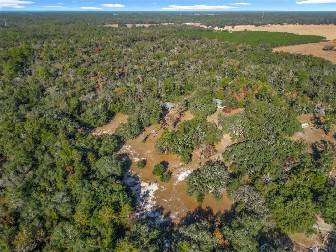 11650 NE 88th Lane, Bronson, FL 32621 Photo