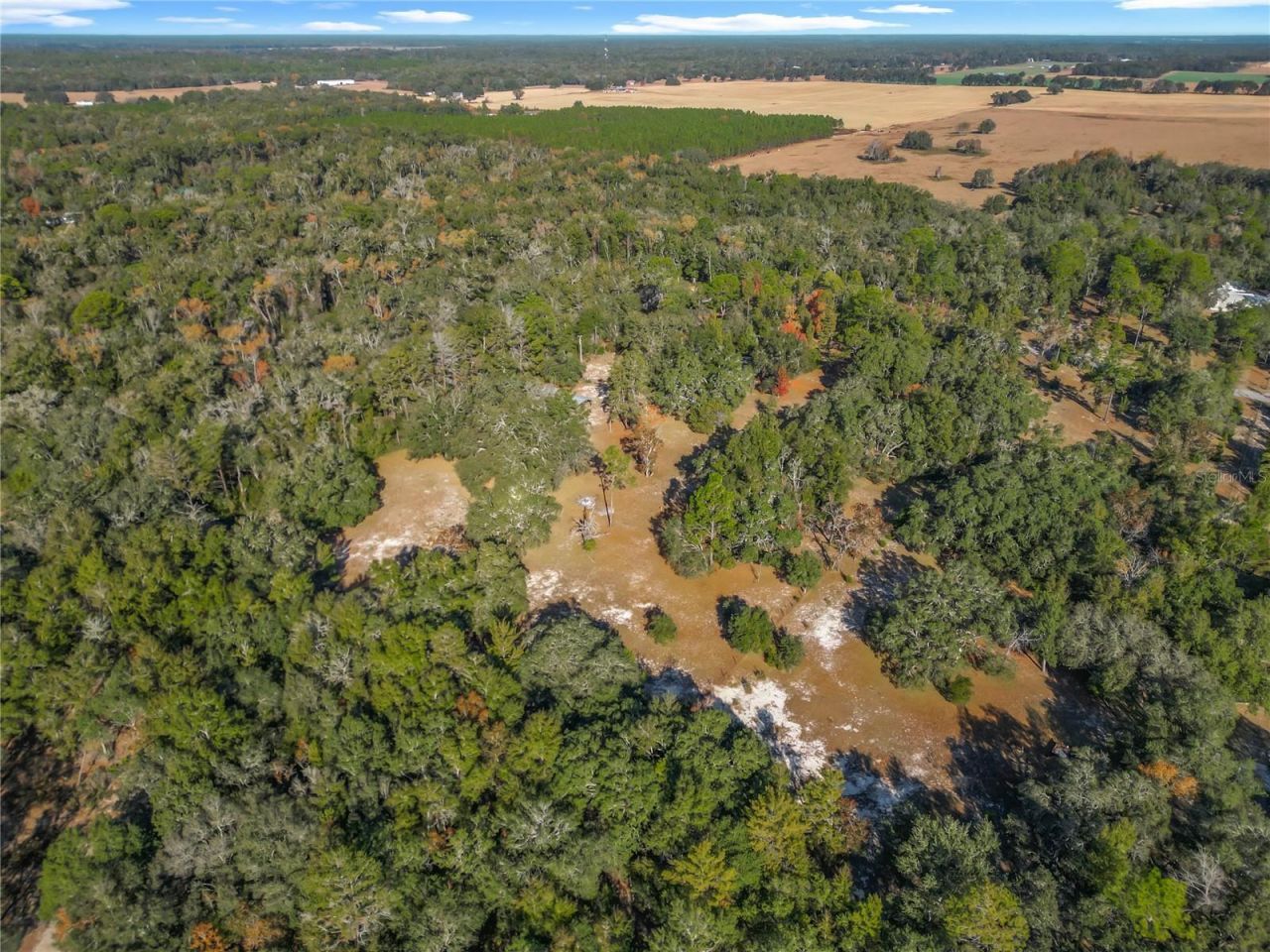 11650 NE 88th Lane, Bronson, FL 32621 Photo