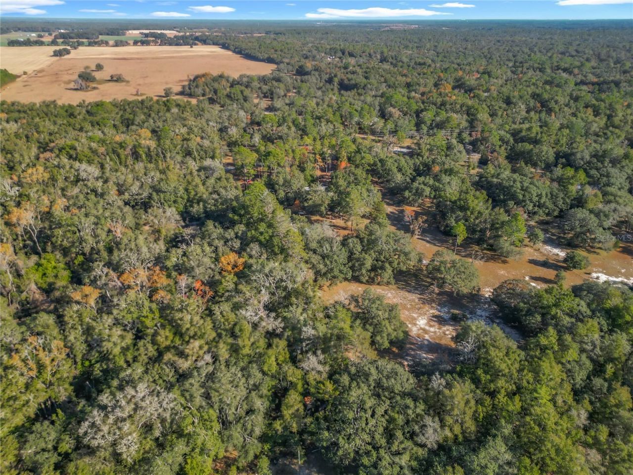 11650 NE 88th Lane, Bronson, FL 32621 Photo