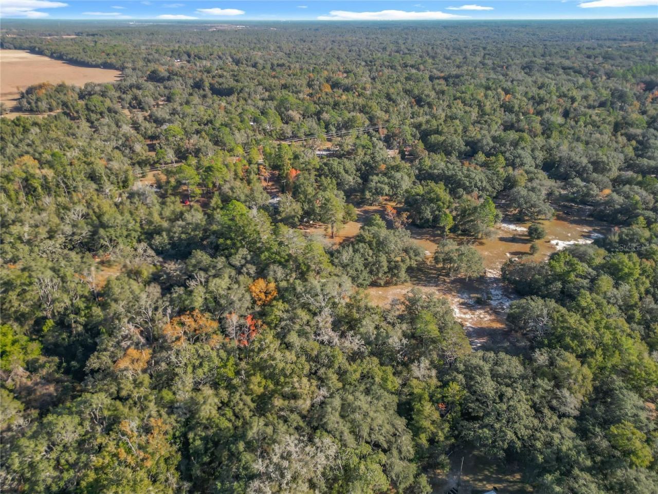 11650 NE 88th Lane, Bronson, FL 32621 Photo