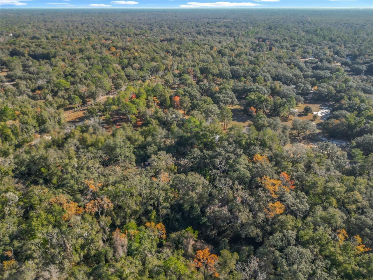 11650 NE 88th Lane, Bronson, FL 32621 Photo