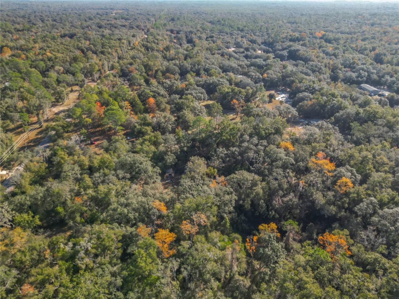 11650 NE 88th Lane, Bronson, FL 32621 Photo