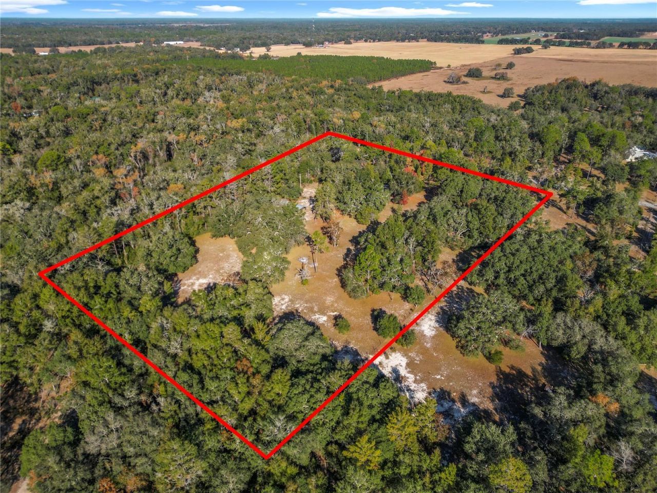 11650 NE 88th Lane, Bronson, FL 32621 Photo