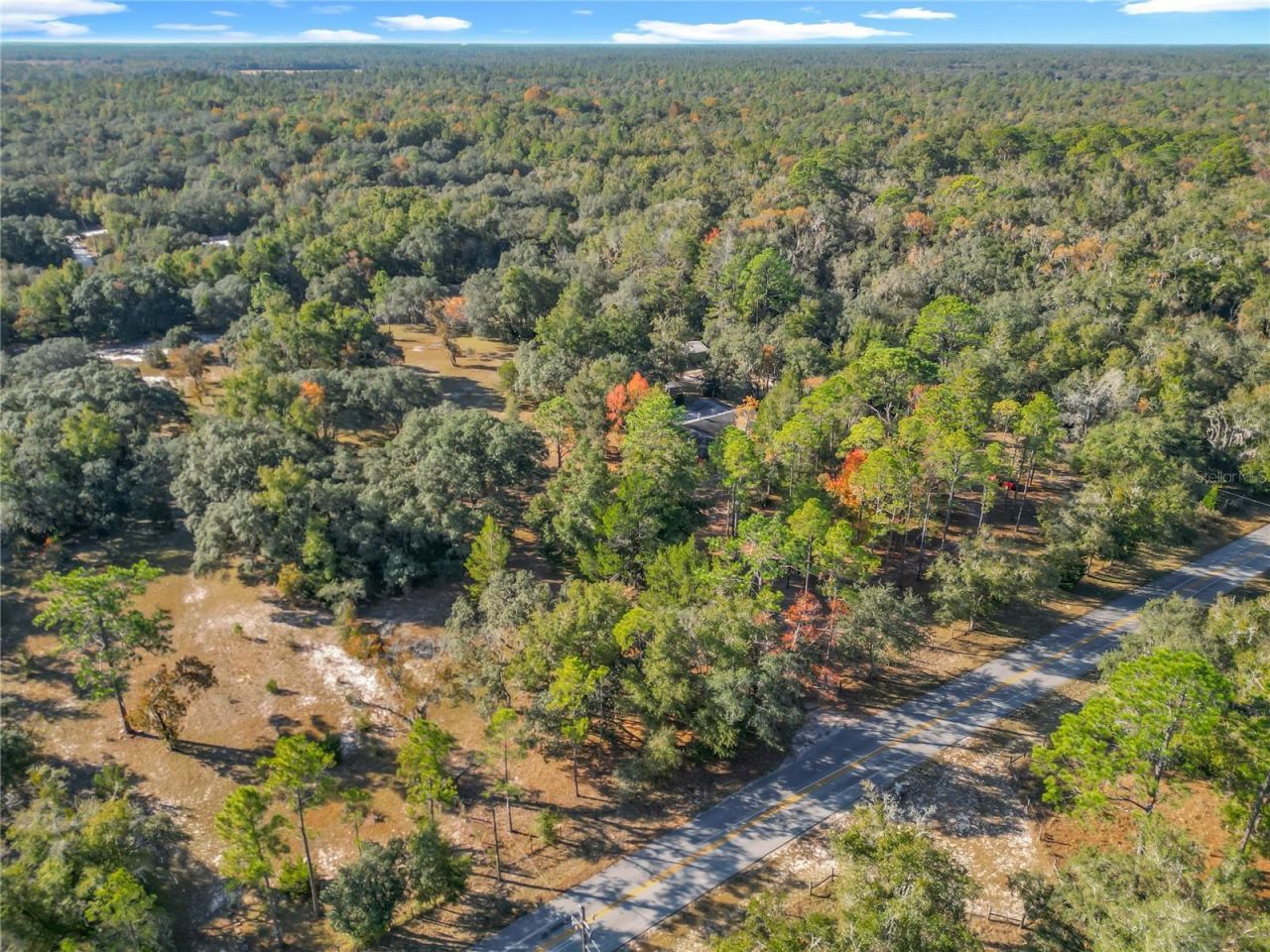 11650 NE 88th Lane, Bronson, FL 32621 Photo