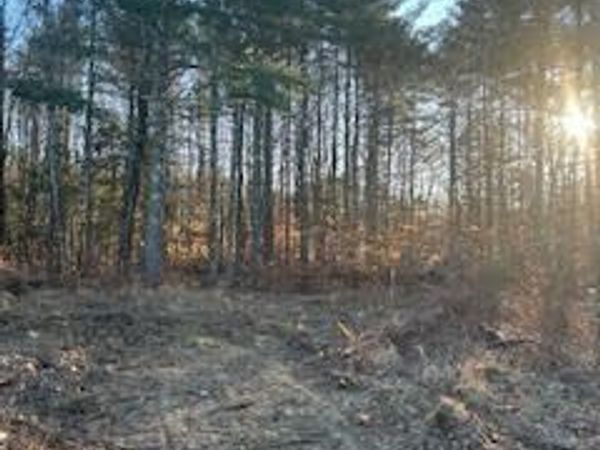 866 Parker Farm Road, Unit A, Buxton, ME 04093