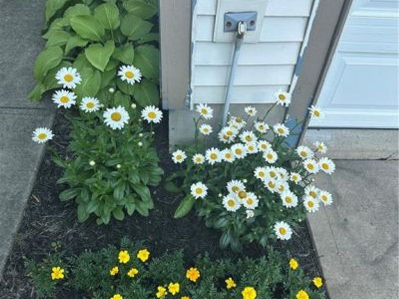 9820 Arlis Lane, Miamisburg, OH 45342 Photo 41