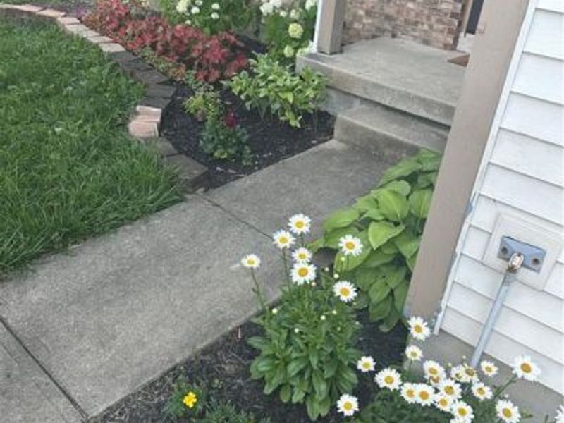 9820 Arlis Lane, Miamisburg, OH 45342 Photo 42