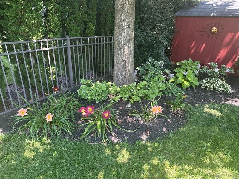 9820 Arlis Lane, Miamisburg, OH 45342 Photo 44