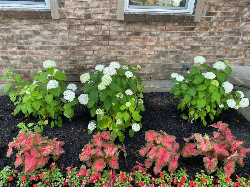 9820 Arlis Lane, Miamisburg, OH 45342 Photo 45