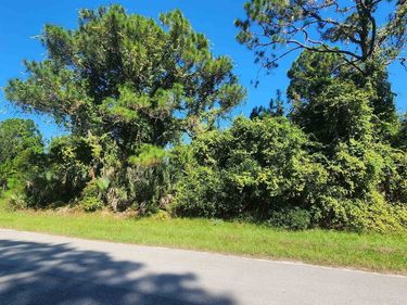 TBD Palm Way and Gardenia Ave, Georgetown, FL 32139
