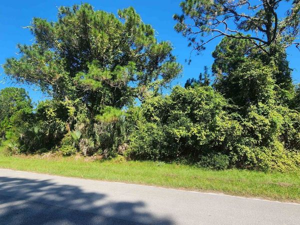 TBD Palm Way and Gardenia Ave, Georgetown, FL 32139