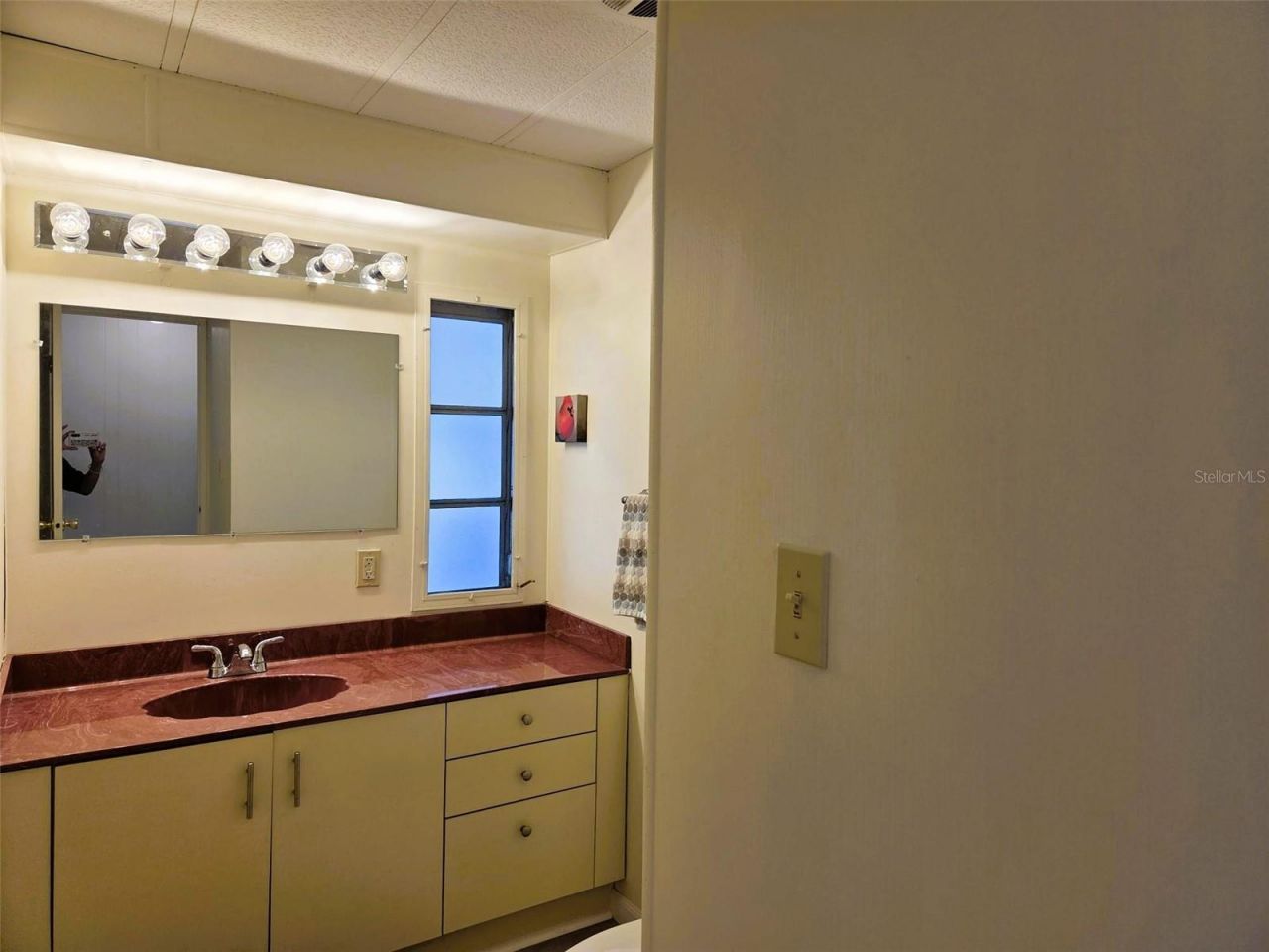 3213 Sycamore Terrace, Sarasota, FL 34237 Photo