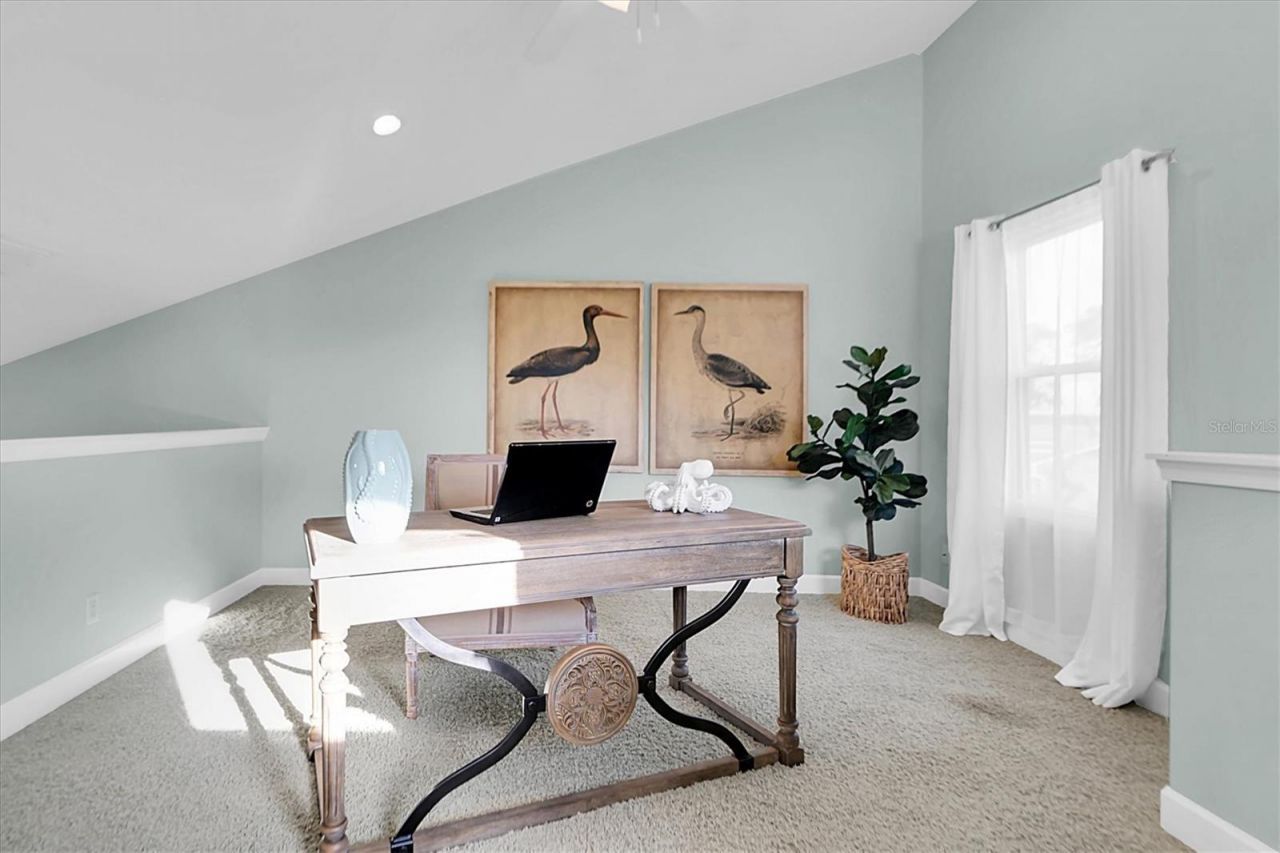 1580 Macchesney Drive, Tarpon Springs, FL 34689 Photo