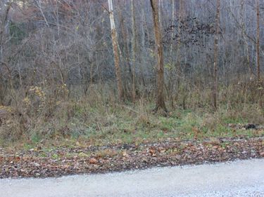 0 Crooked Crk Road, Orlando, KY 40460