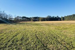 0 Bishopville Road photo 4