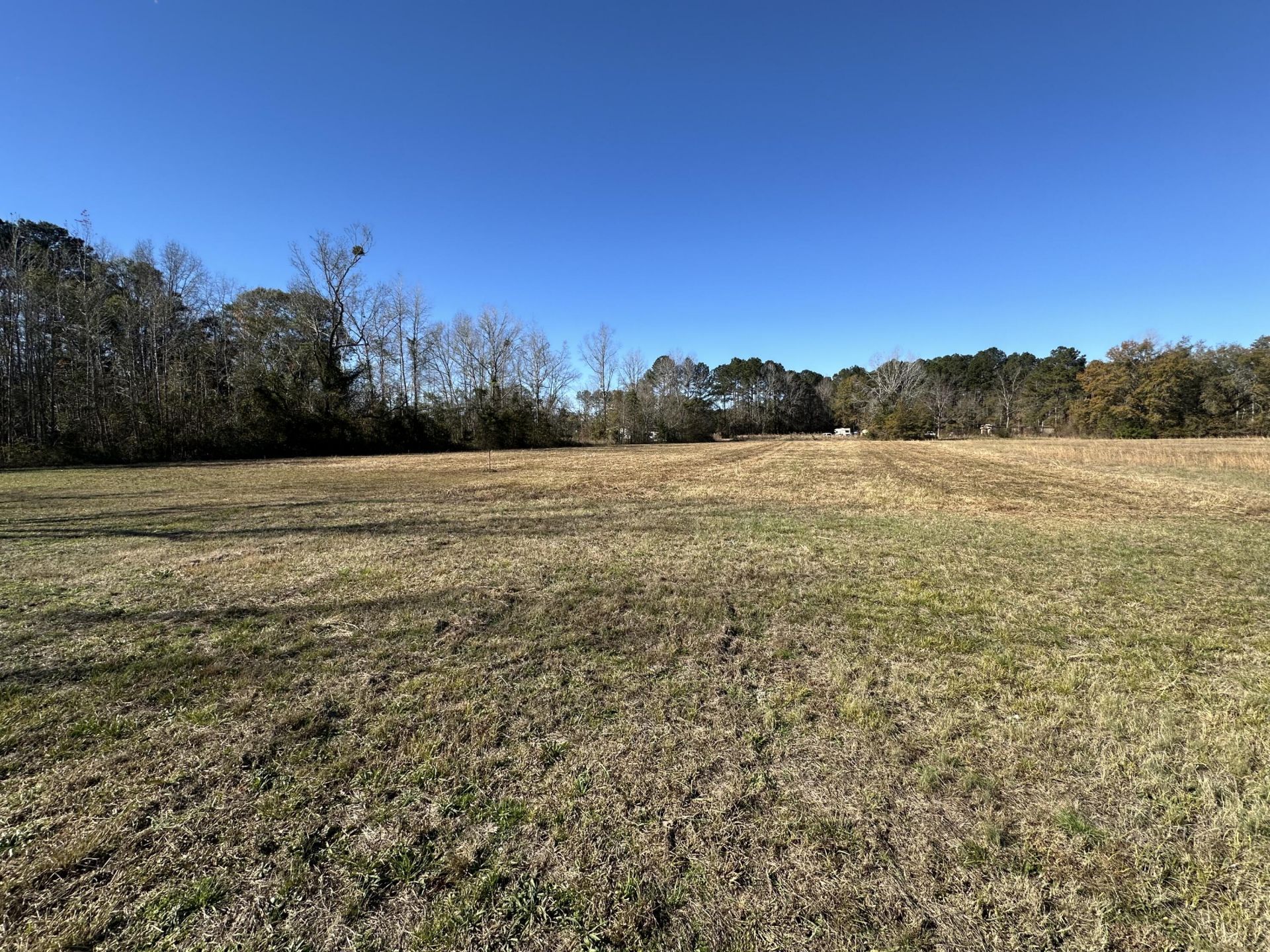 0 Bishopville Road Photo 4