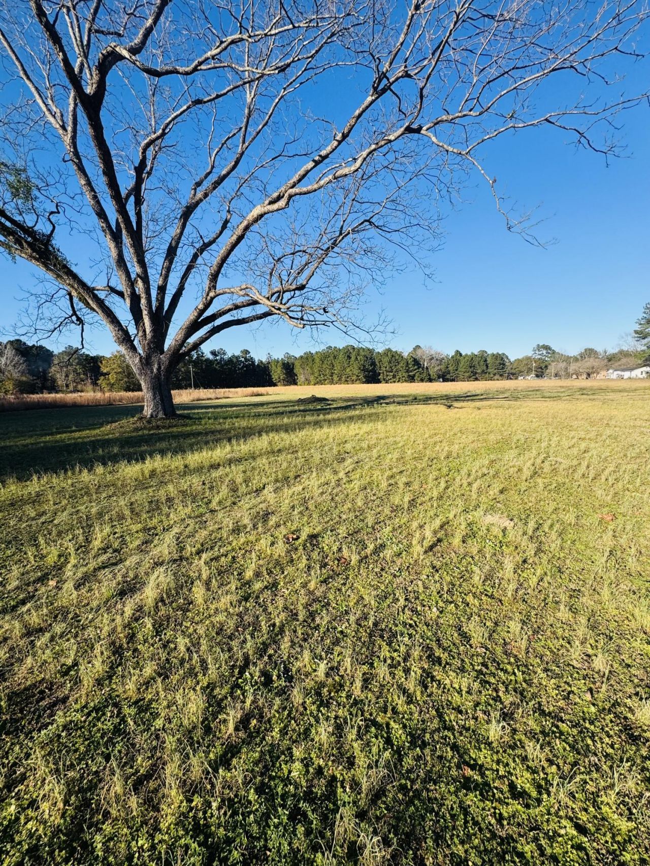 0 Bishopville Road Photo 4