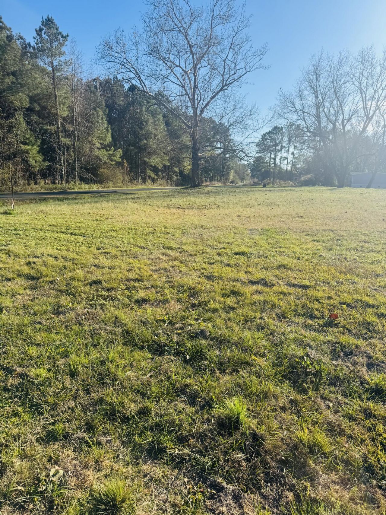 0 Bishopville Road Photo 6