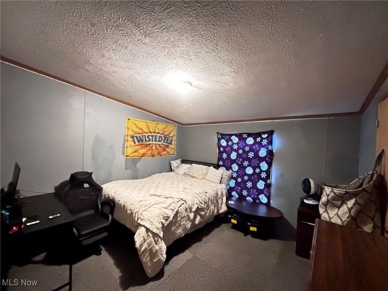 7195 Lakeview Road, Hanoverton, OH 44423 Photo 19