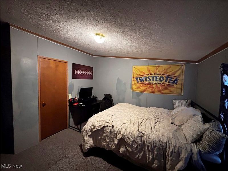 7195 Lakeview Road, Hanoverton, OH 44423 Photo 20