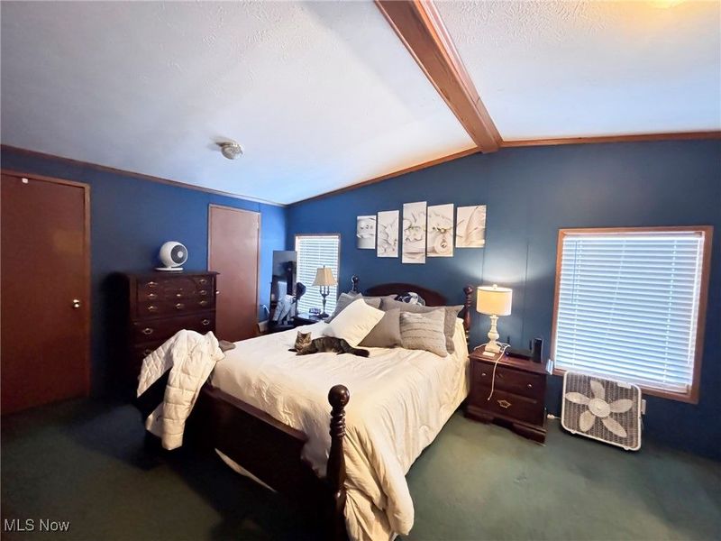 7195 Lakeview Road, Hanoverton, OH 44423 Photo 23