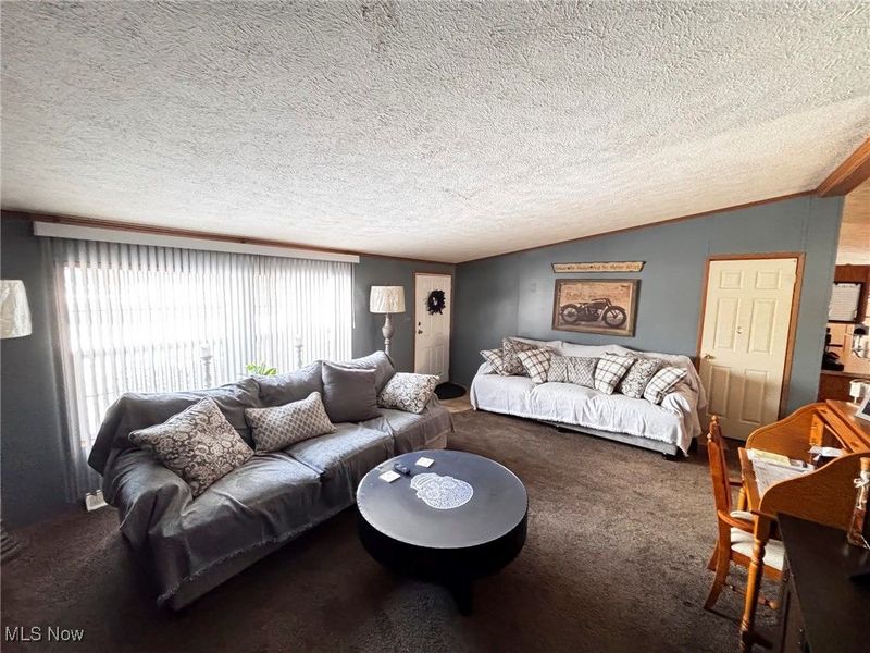 7195 Lakeview Road, Hanoverton, OH 44423 Photo 4