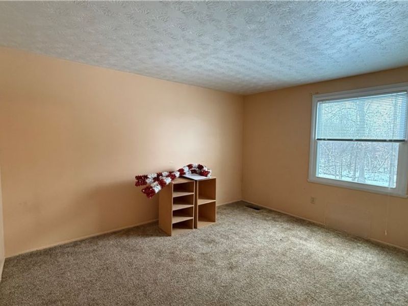 392 Earl Drive NW, Warren, OH 44483 Photo 11