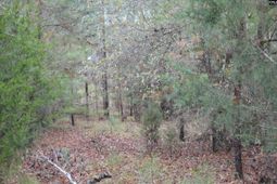 9 Nautical Drive photo 4