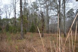 9 Nautical Drive photo 4