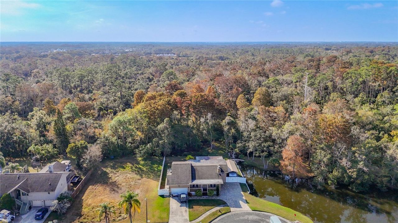 5904 Springrun Court, Holiday, FL 34690 Photo