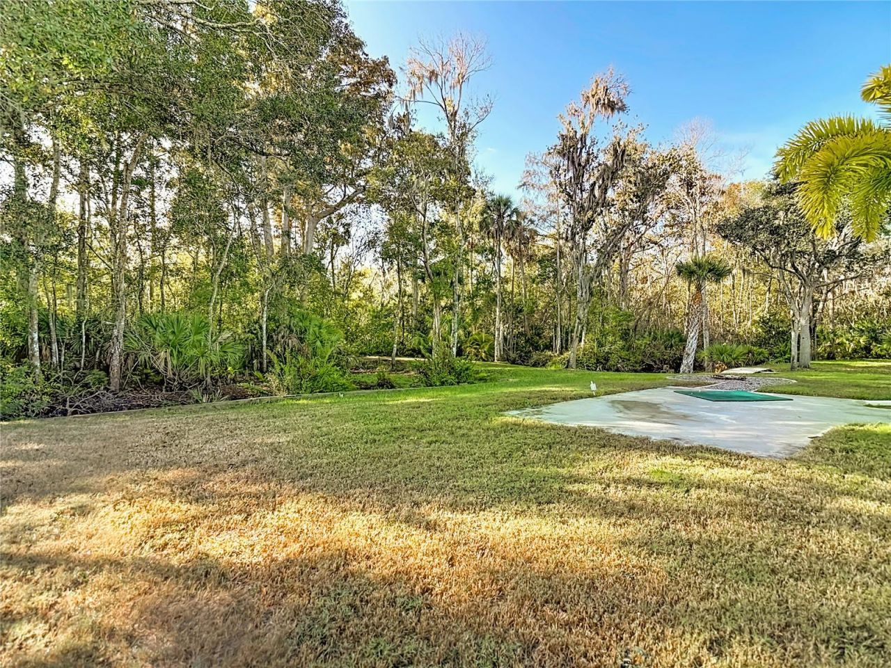 5904 Springrun Court, Holiday, FL 34690 Photo