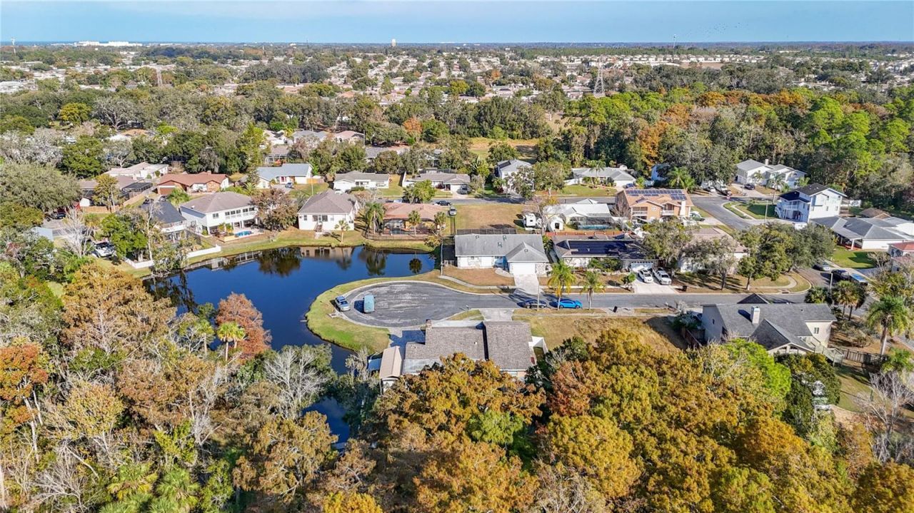 5904 Springrun Court, Holiday, FL 34690 Photo