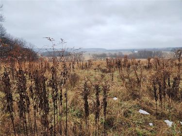 Ball Hill Road, Forestville, NY 14062