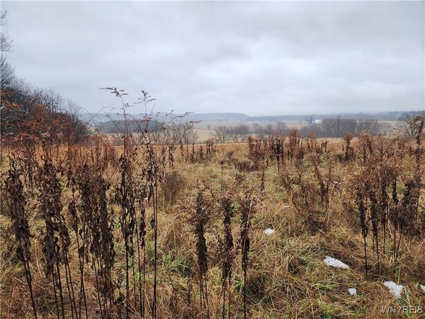 Ball Hill Road, Forestville, NY 14062