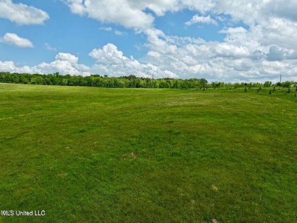 1 Sandy Lane, Flora, MS 39071