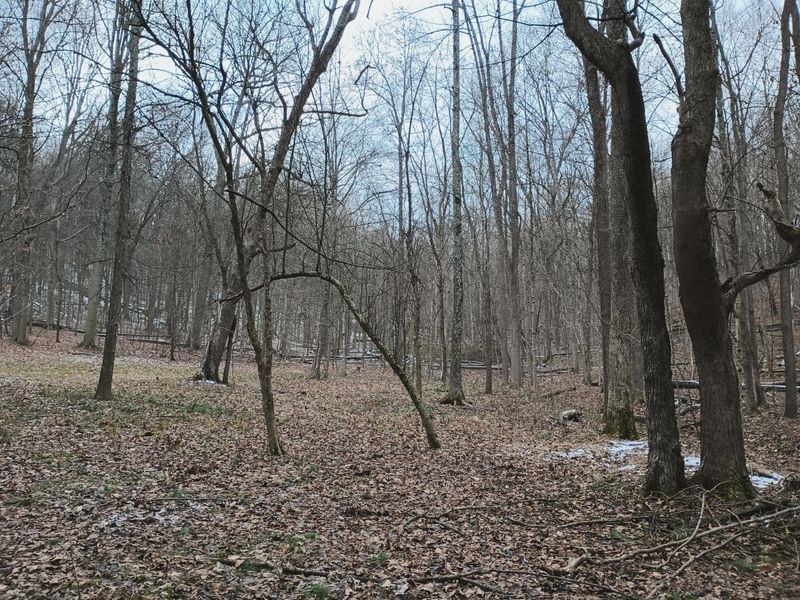 7700 Chatham Road NE, Newark, OH 43055 Photo 93