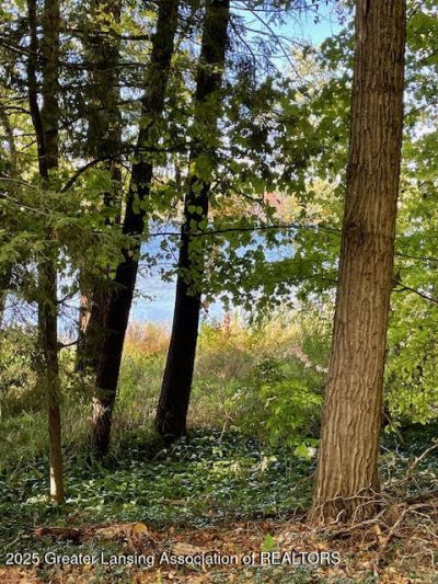 13101 E Englewright Drive, Sand Lake, MI 49343 Main Photo