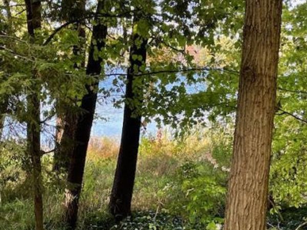 13101 E Englewright Drive, Sand Lake, MI 49343