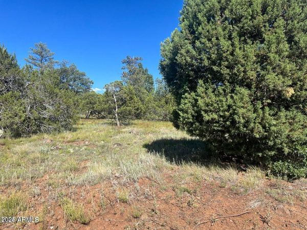 5020 BISON Trail, Unit 34 & 35, Lakeside, AZ 85929