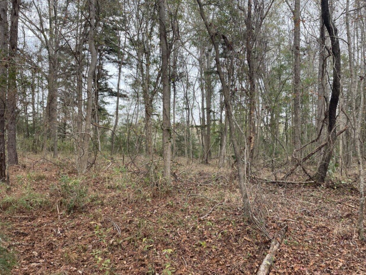 0 Dodge Lane Photo 4