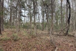 0 Dodge Lane photo 4