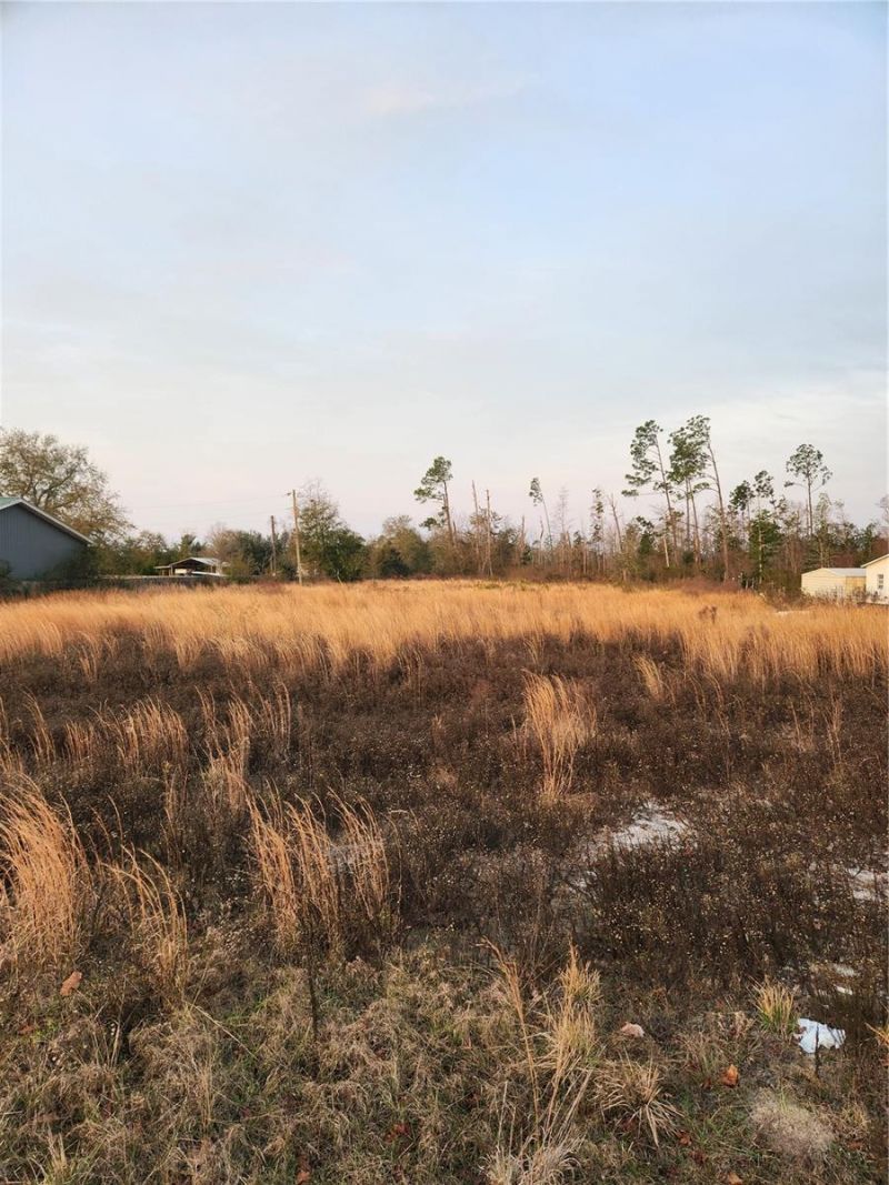 7901 Highway 2301, Panama City, FL 32404 Photo