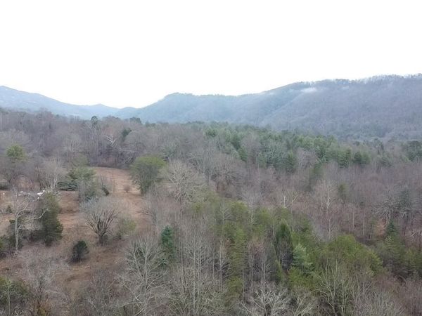 83.8 acres E Millers Cove Rd, Walland, TN 37886