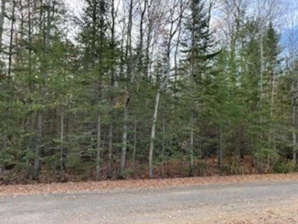 9763 High Banks , Benton Twp, MI 49721