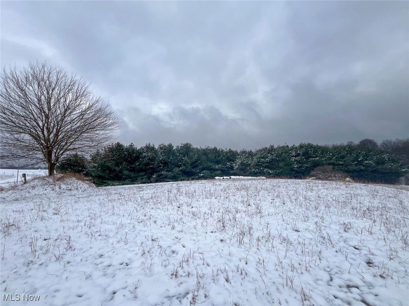 87085 Crall Road, Scio, OH 43988 Photo 11