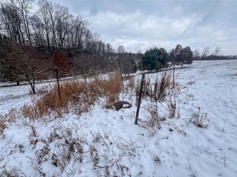 87085 Crall Road, Scio, OH 43988 Photo 14