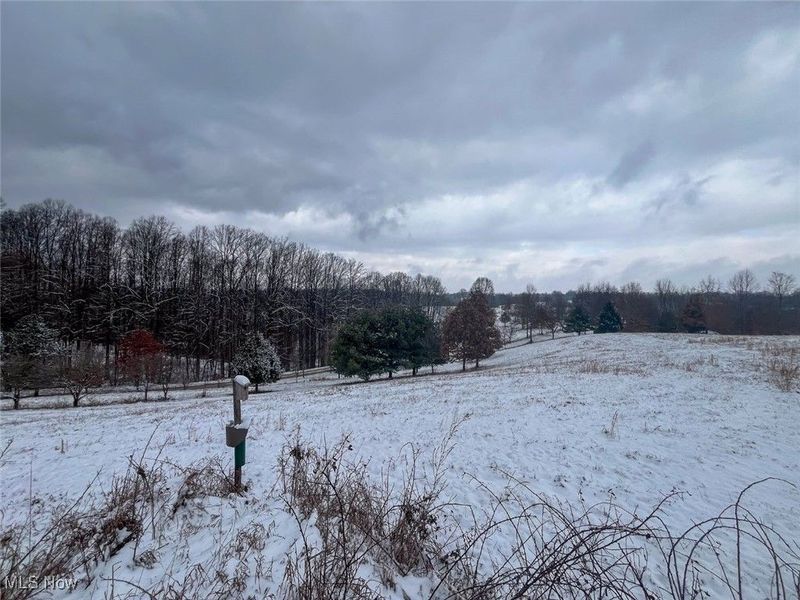 87085 Crall Road, Scio, OH 43988 Photo 15