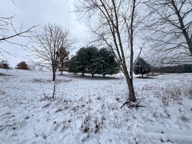 87085 Crall Road, Scio, OH 43988 Photo 19