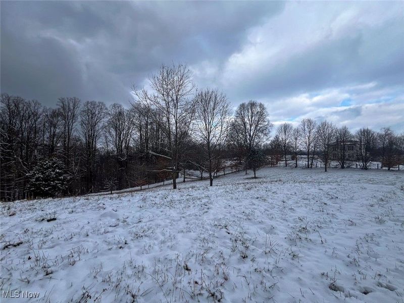 87085 Crall Road, Scio, OH 43988 Photo 27