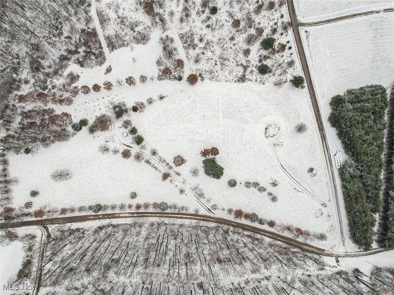 87085 Crall Road, Scio, OH 43988 Photo 6